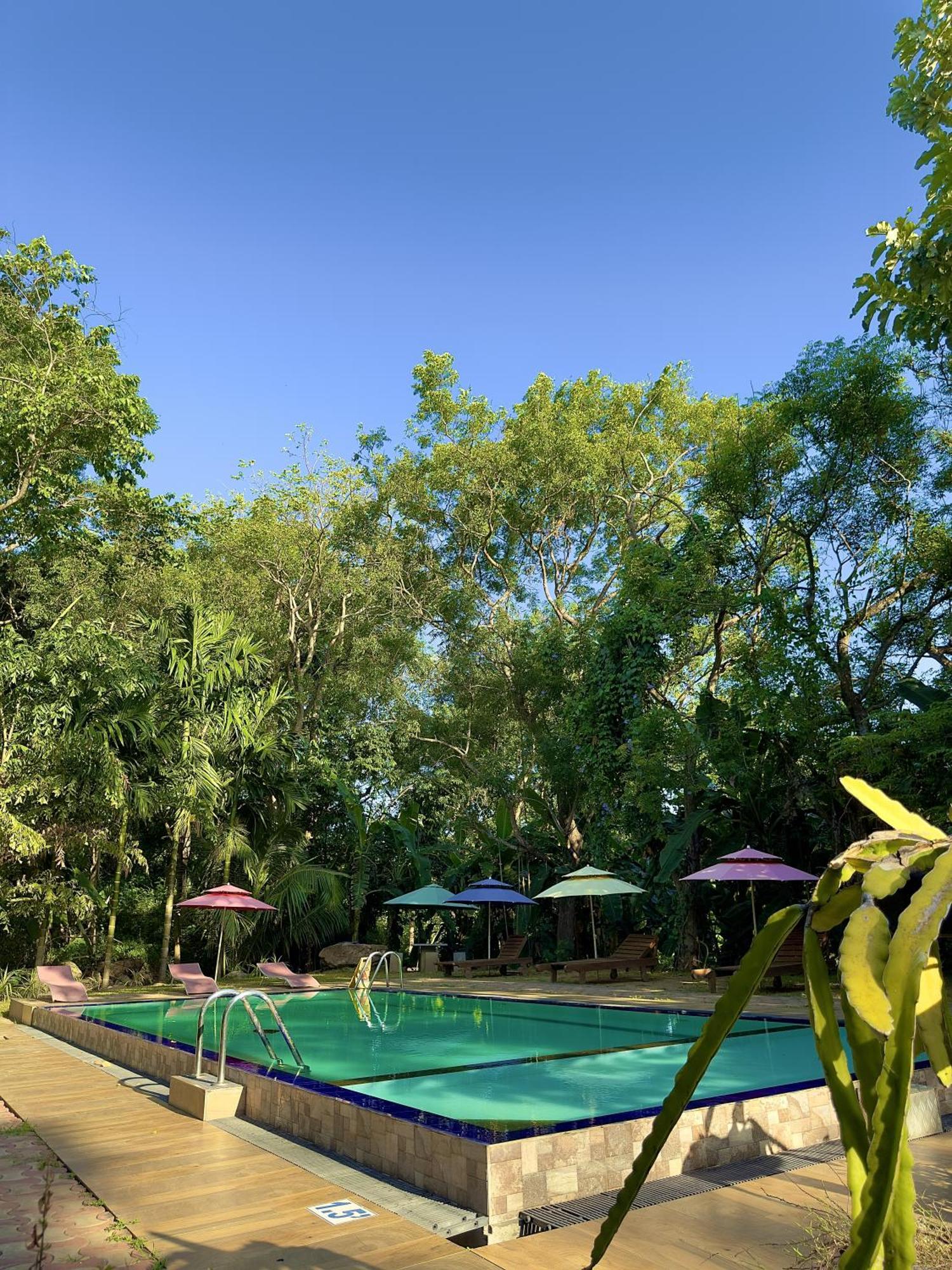 Birds Paradise Inn Udawalawe Exterior foto